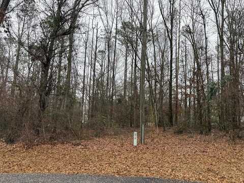 0 Pine Ridge Drive, Troy, AL 36081