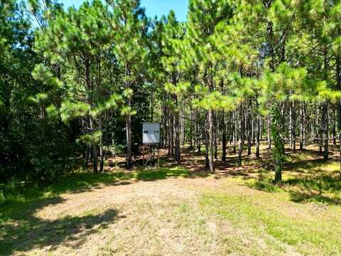 00 County Road 2289, Glenwood, AL 36034