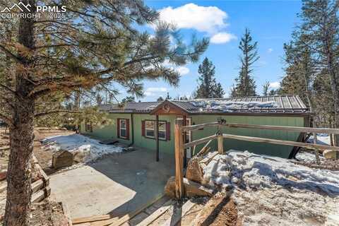 56 Daisy Street, Woodland Park, CO 80863