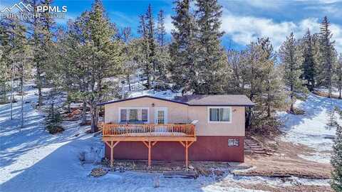 60 Perch Drive, Lake George, CO 80827