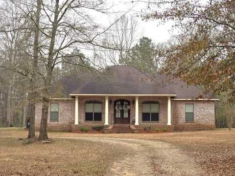 45 John Amacker Rd, Carriere, MS 39426