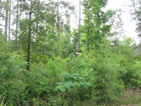 0 113 Placid Ln Lot 831, Carriere, MS 39426