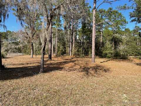 Lot 40 SW Marine Boulevard, Dunnellon, FL 34431