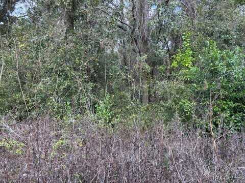 3711 E Beck Street, Inverness, FL 34453