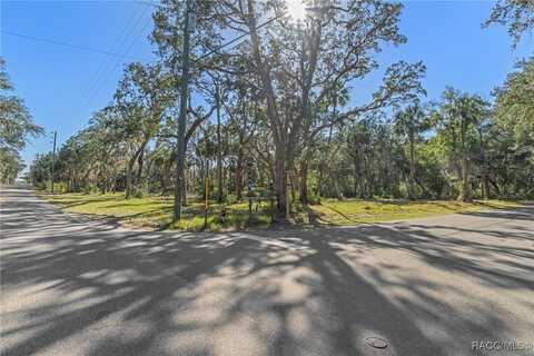 12110 W Standish Drive, Homosassa, FL 34448