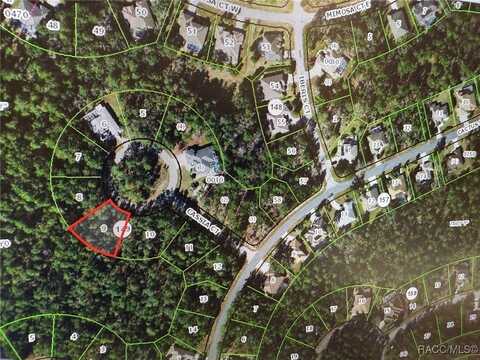 7 Cassia Court, Homosassa, FL 34446