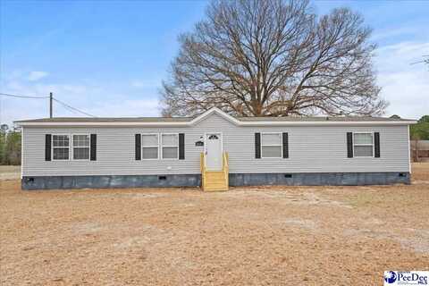 2664 Penderboro Road, Marion, SC 29571