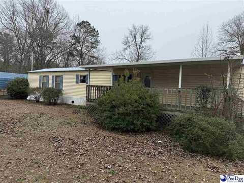 1253 Charles Dr, Manning, SC 29102