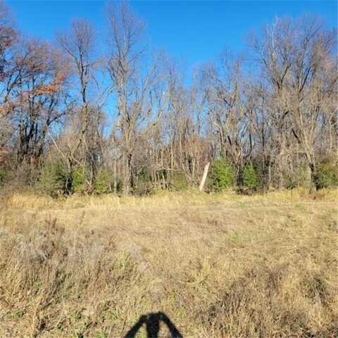 Lot 4 575th, Greenleaf, MN 55355