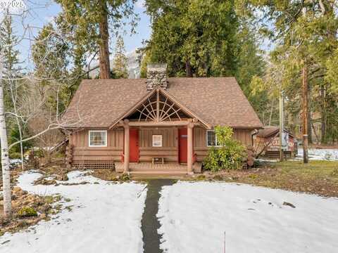 56483 MCKENZIE HWY, McKenzie Bridge, OR 97413