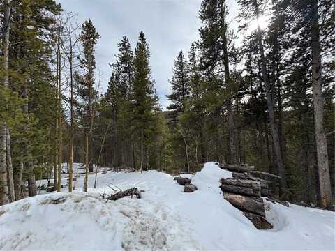 649 VISTA ROAD, Idaho Springs, CO 80452