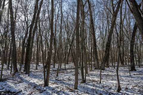 Lot 10 Oak Hill Estates E, Mauston, WI 53948