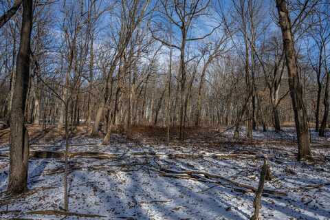 Lot 11 Oak Hill Estates E, Mauston, WI 53948