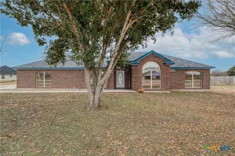 233 Thomas Drive, Martindale, TX 78655