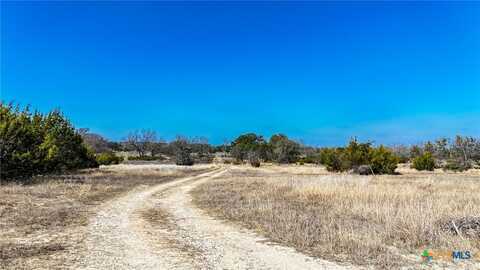 Lot 15 FM 581, Lometa, TX 76853