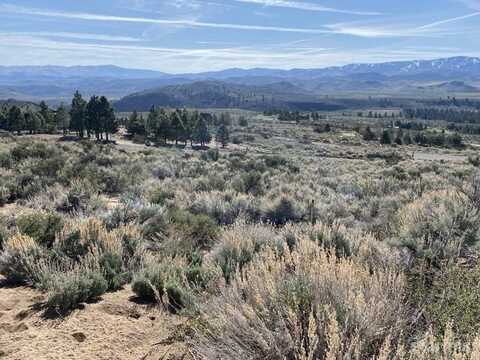 88 Pioneer Trail, Markleeville, CA 96120