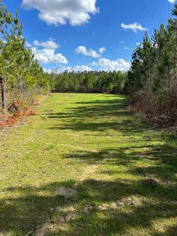 . Dennis Cross Roads, Fayette, MS 39069