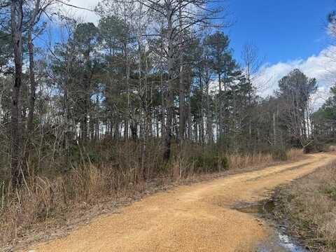 1089 Guynes Lane, Crystal Springs, MS 39059