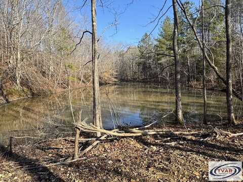 Ditney Ridge Rd, BUMPUS MILLS, TN 37028