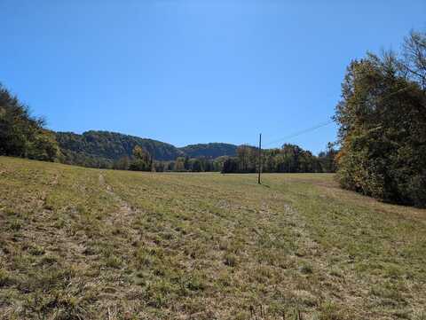 2AC Free Ferry Road, BURKESVILLE, KY 42717