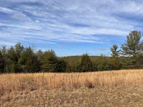 6.94ac White Crk, Deer Lodge, TN 37726