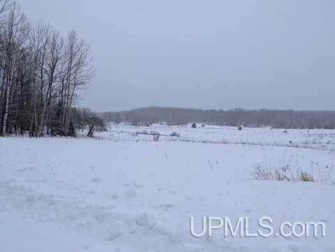 TBD Mill Pond, Trout Creek, MI 49967