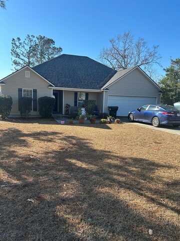 14 Mill Pond Place, Lakeland, GA 31635