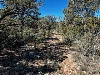 Lot 010 Skunk Hill Trail, Peach Springs, AZ 86434