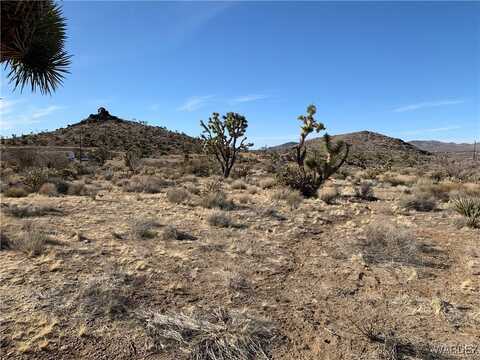 16773 N Mt Tipton Drive, Dolan Springs, AZ 86441