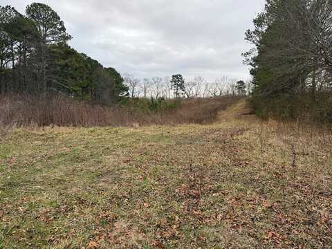 Co. Rd. 63, Ranburne, AL 36273