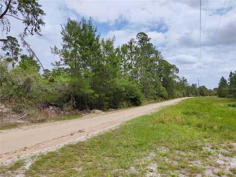 Buck Run Drive, Paisley, FL 32767