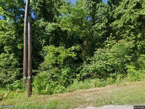 Lot1239 Rustic Drive Baneberry Tn 37890, Baneberry, TN 37890