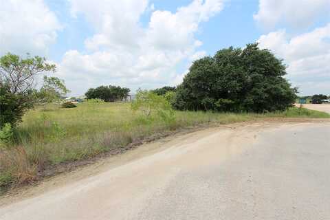 Bevers, LIBERTY HILL, TX 78642