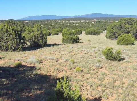 State Hwy #55, Estancia, NM 87016