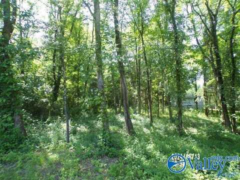 .31 Ac Lot Hackberry Lane, Hokes Bluff, AL 35903