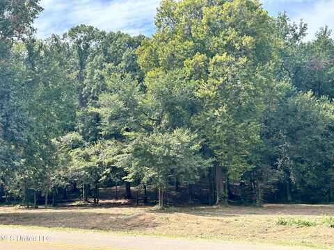 Fogg Road, Nesbit, MS 38651