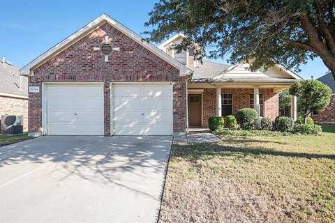 Mountain Peak, HASLET, TX 76052