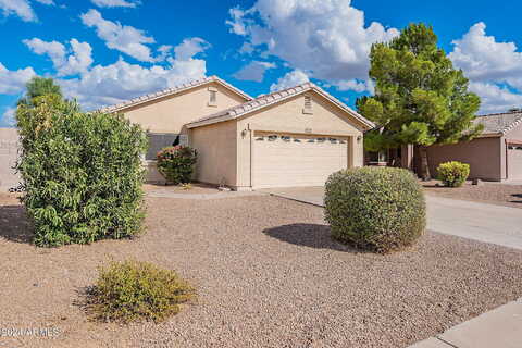 Moccasin, GILBERT, AZ 85297