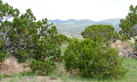 Pinon Springs Rd, Magdalena, NM 87825