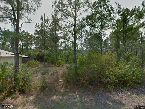 Seville Orange, PALM COAST, FL 32164