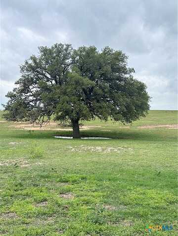 Tbd Tract 1 W. Gates Valley Rd., Poteet, TX 78065