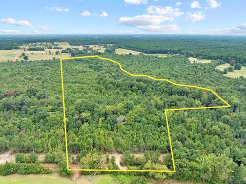 Tbd Mistletoe Road Lot 16, Gilmer, TX 75644