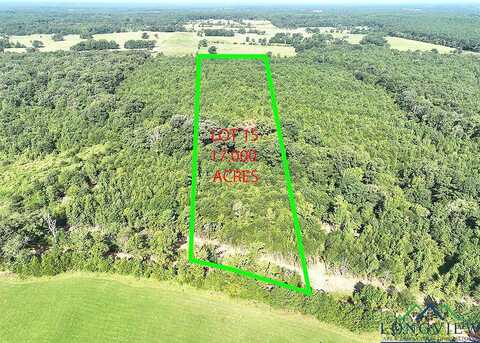 Tbd Mistletoe Road Lot 15, Gilmer, TX 75644