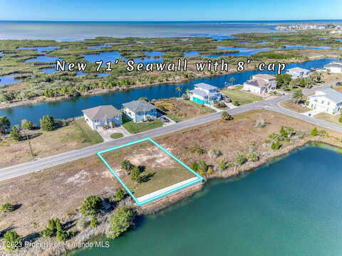 Lugustrum Drive, Hernando Beach, FL 34607