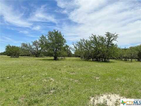 Tract 58C-6 Bryce Trail, Briggs, TX 78608