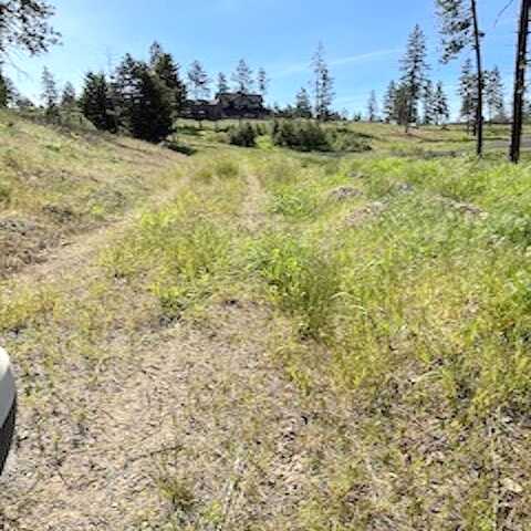 Lot A Kronos Short Plat/Meadowlane Ln, Davenport, WA 99122