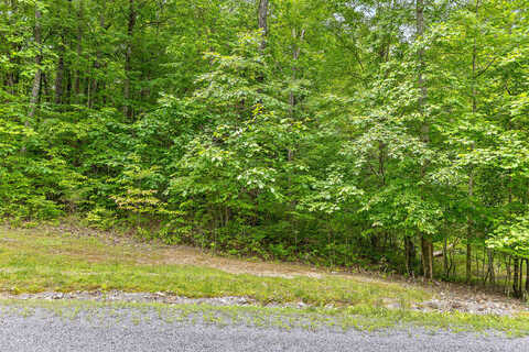 Lot 534 Wilderness Way, Dunlap, TN 37327