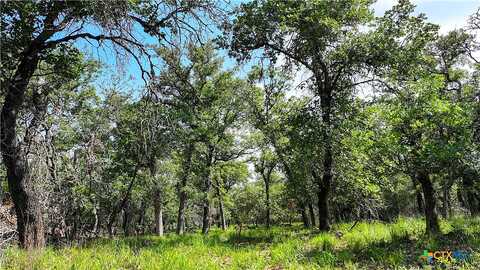 Lot 5 Sandstone Lane, Seguin, TX 78155