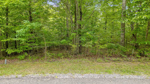 Lot 419 Tall Tree Tr, Dunlap, TN 37327