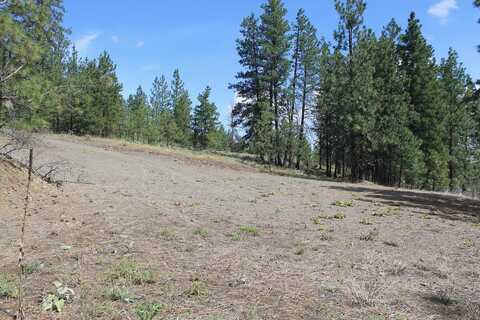 Lot 4 Flicker Sontag Ridge Ln, Davenport, WA 99122